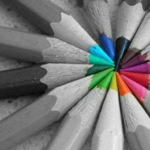 Meet your Posher, Audrey